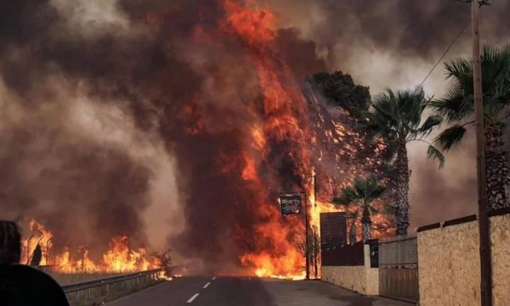 Οι πυρκαγιές στέλνουν σήμα για εκλογές - Η πολιτική θεωρία της κουκουνάρας